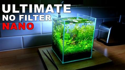 fish tank heater for 2 gallon tank|best heater for nano tank.